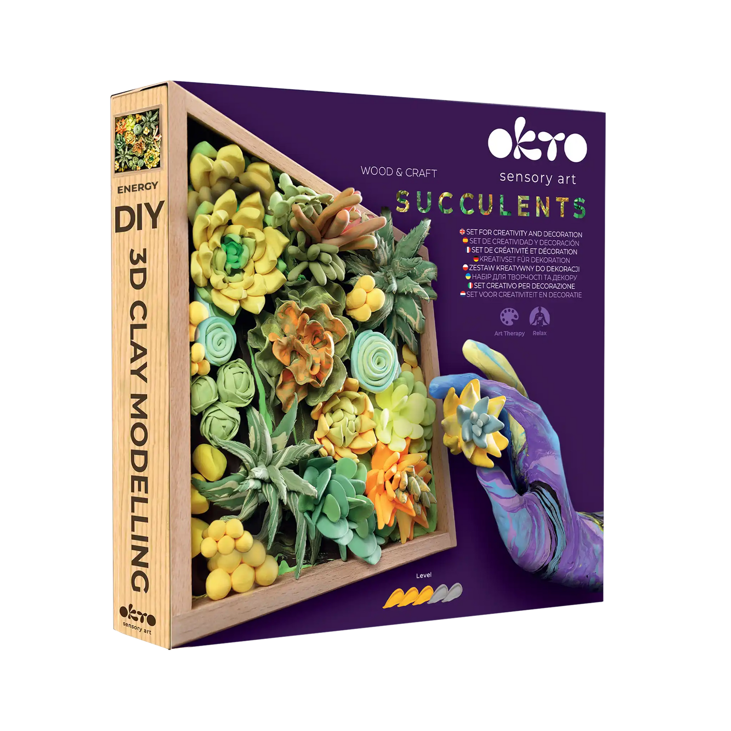 set Wood&Craft DIY "Succulents" ENERGY