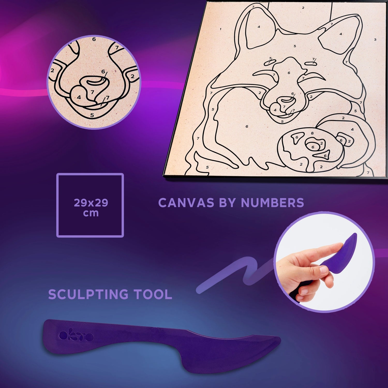 Coloring with clay set by numbers FOX